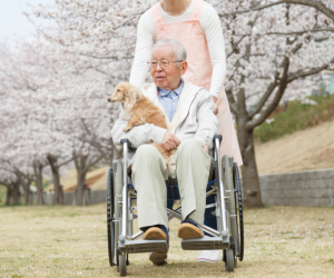 old man in wheelchair with his dog